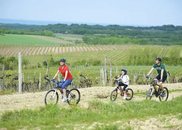 Vakantiehuis House In With Terrace, Air Conditioning, Wi-fi, Washing Machine